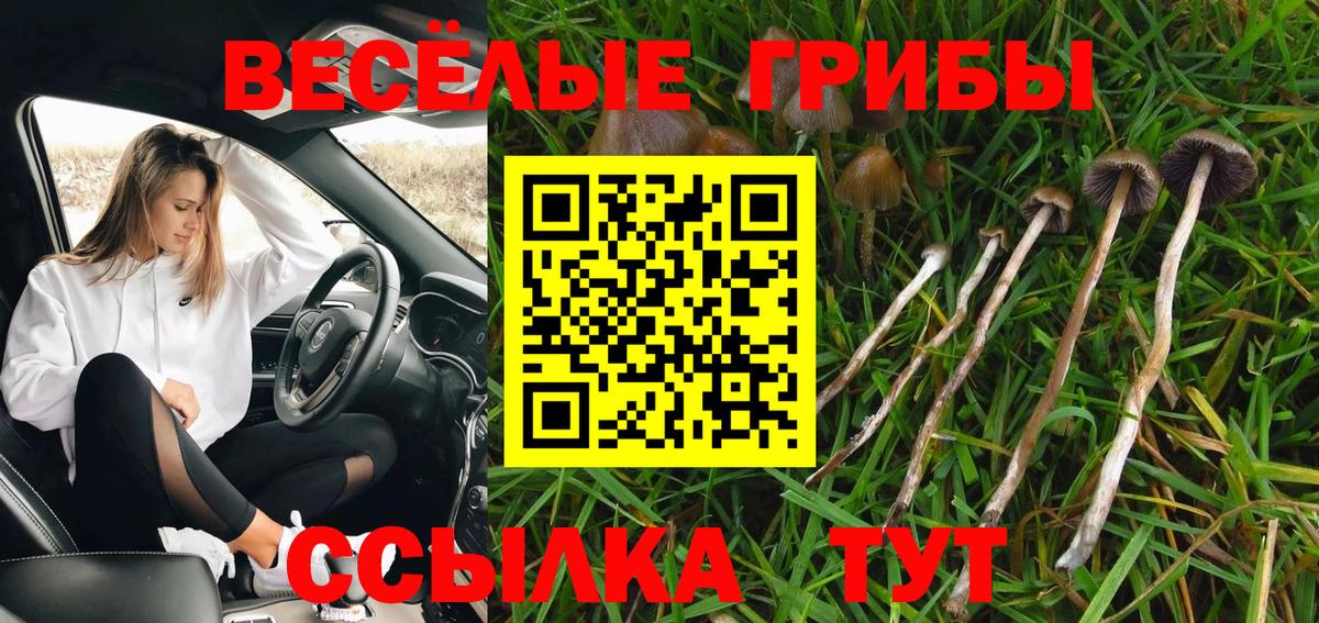 Галлюциногенные грибы MAGIC MUSHROOMS Псков