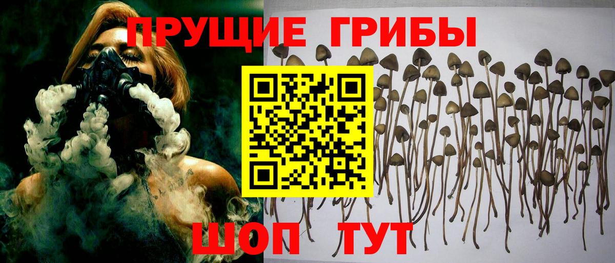 Галлюциногенные грибы MAGIC MUSHROOMS  Вход с VPN  Псков 