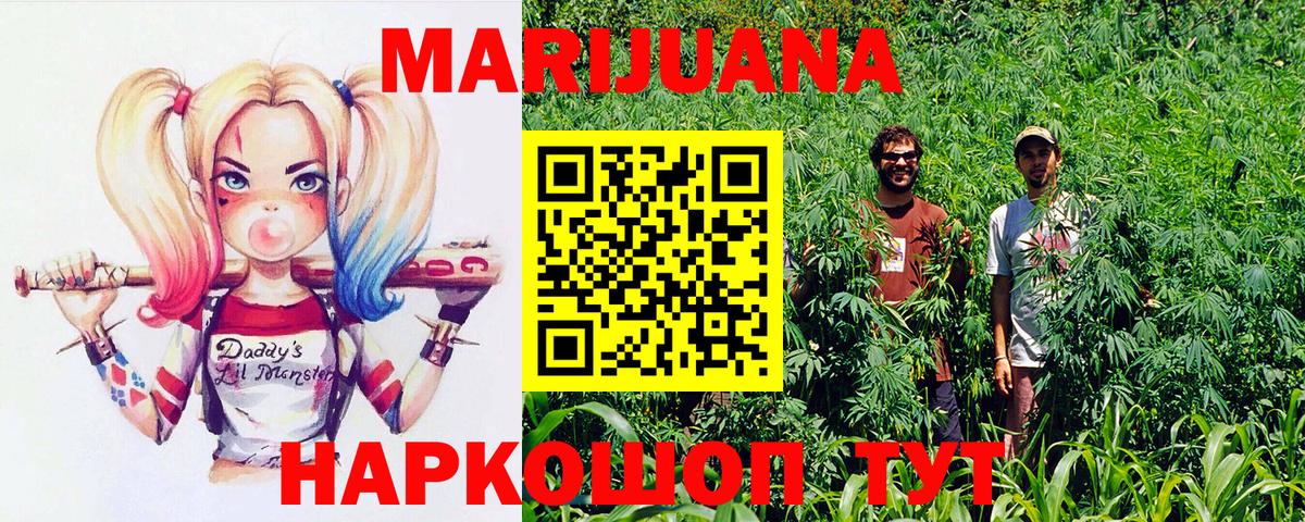Конопля гибрид  Конопля THC 21%  Марихуана сатива  МАРИХУАНА планчик  Вход с VPN  Псков 